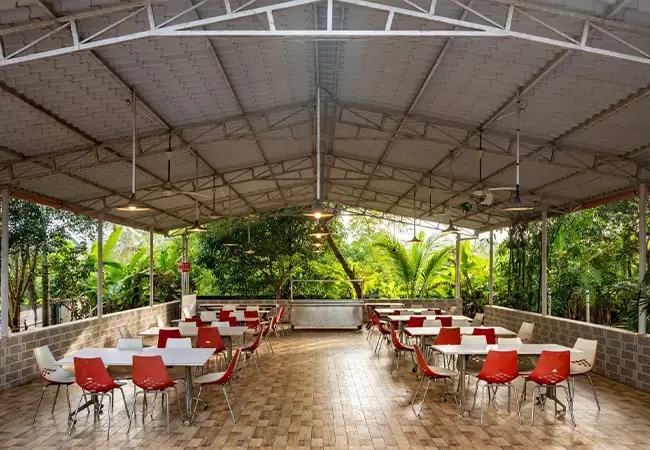 white petal homestay dining area