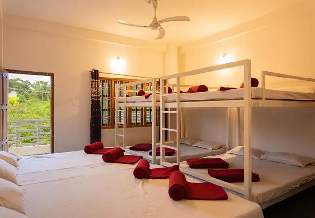 white petal homestay dormitory